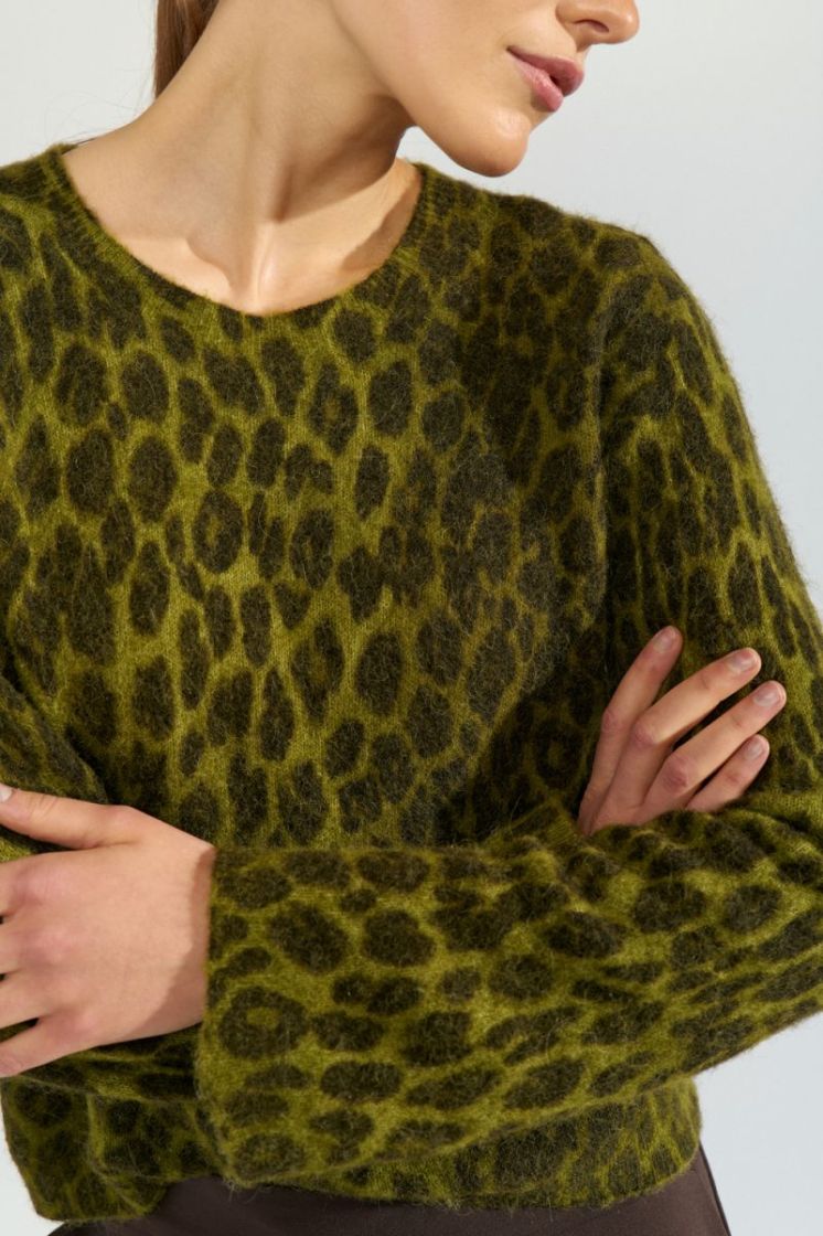 Riette leo pullover 4060 Calla Gree