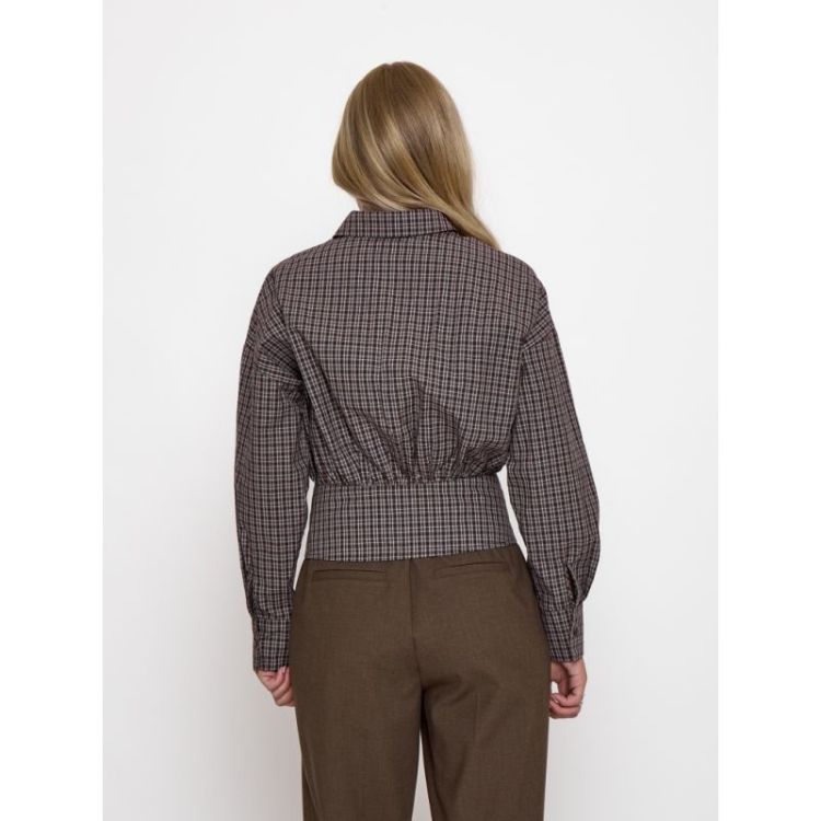 Robina Shirt 4009 andorra re