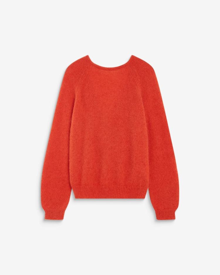 Backless knit sweater Anthemis sanguine