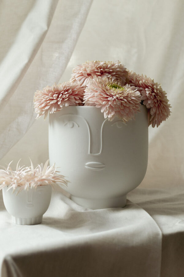 Flower carrier flower pot