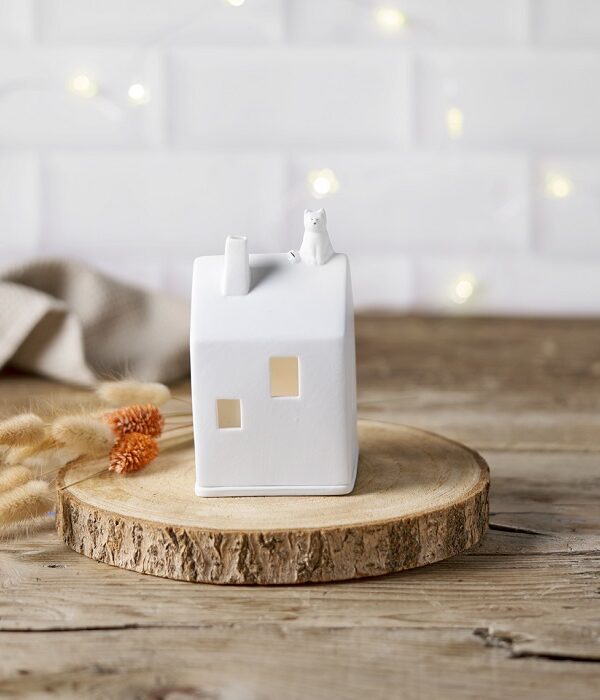 lighthouse kat en vogels